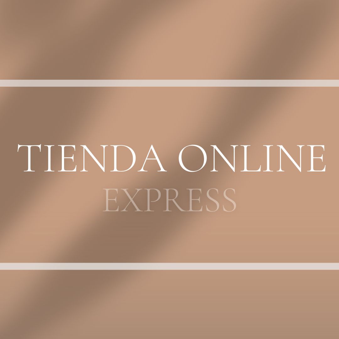 Express Tienda Online Pago 2